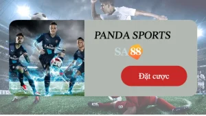 Giới thiệu sảnh Panda Sport trên nhà cái SA88